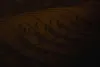 Превью 9
