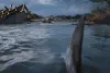 Превью 3