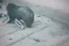 Превью 9