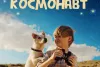 Превью 3