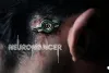 Превью 8