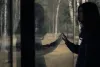 Превью 5