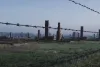 Превью 7